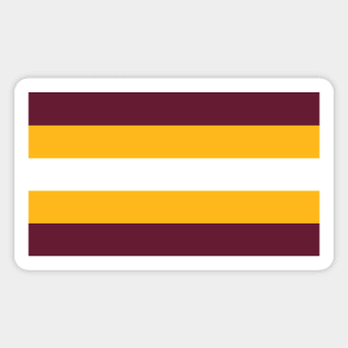 Washington Color Stripes Magnet